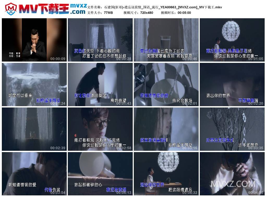 石建国(狂哥)-遗忘这段情_国语_流行_YEA00663